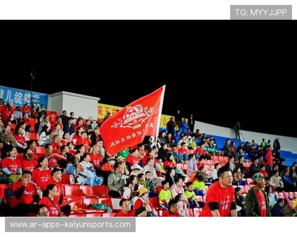 球迷们的热情支持，点燃赛场激情！，足球热情